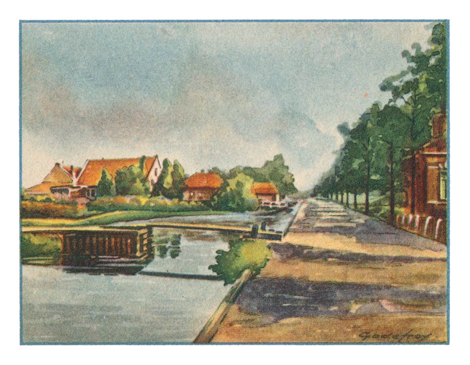 91. BOSKOOP, Biezen