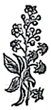 image008