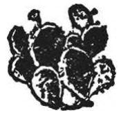 decorative mark