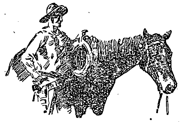 man with horse