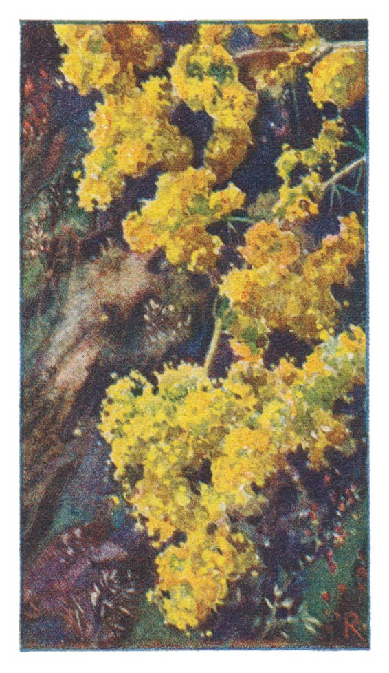 48