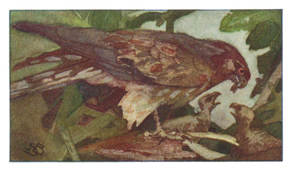 65