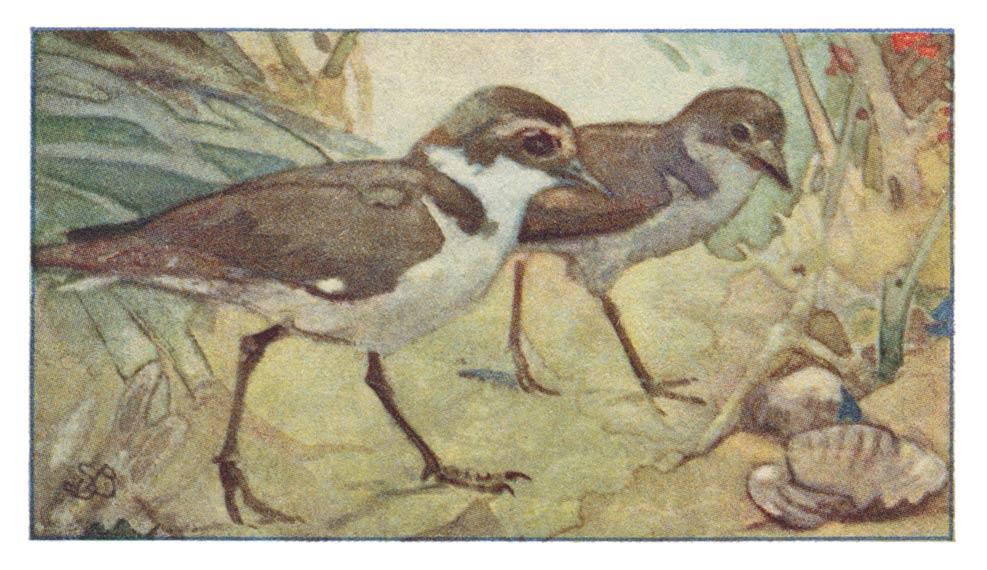 71