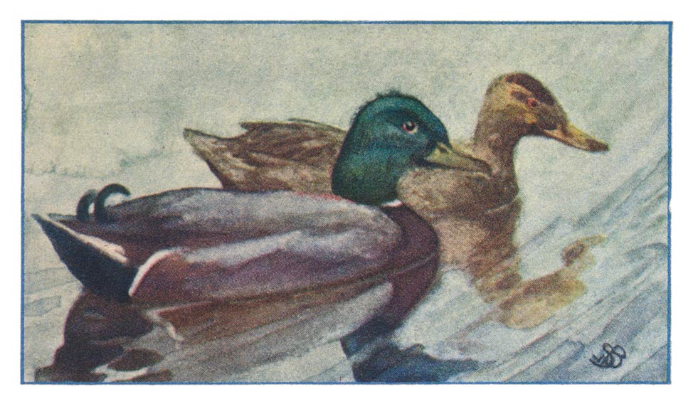 73