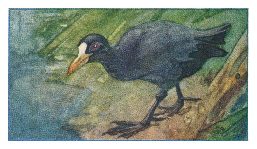 78