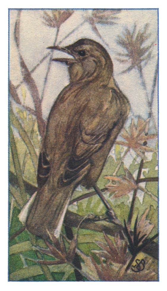 108
