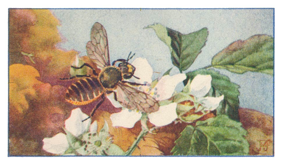 109