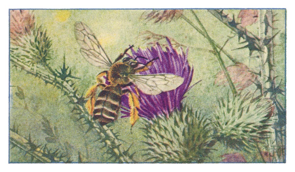 113