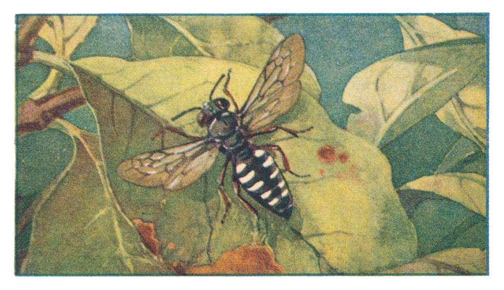 114