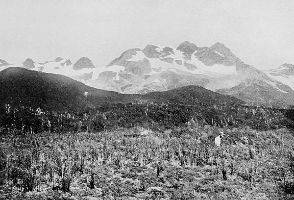 valley