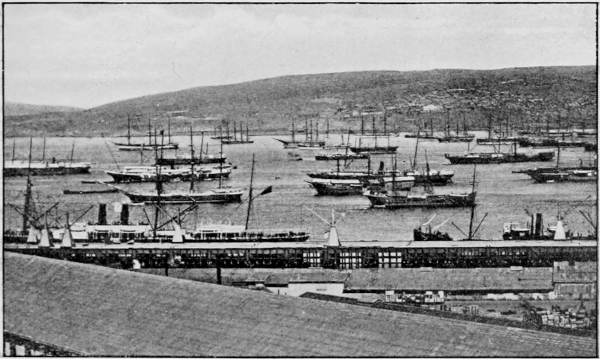harbour