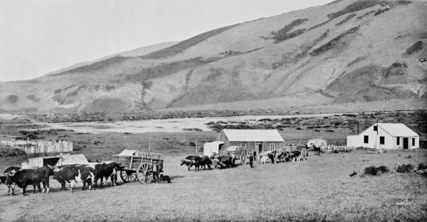 farm