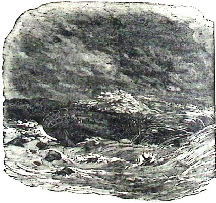 image003