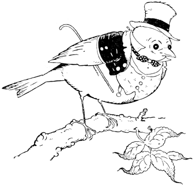 robin