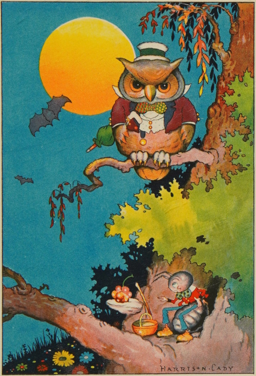 owl