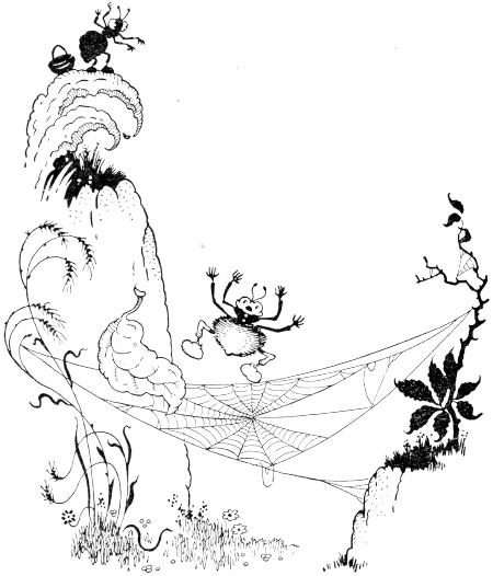 spider