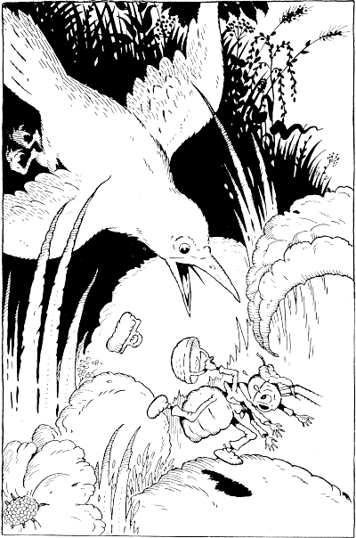 bird