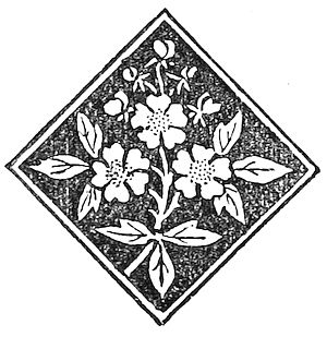 decorative