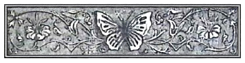 image006