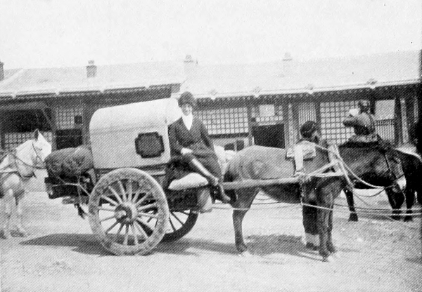 cart