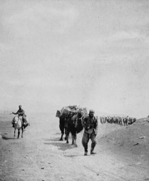 caravan