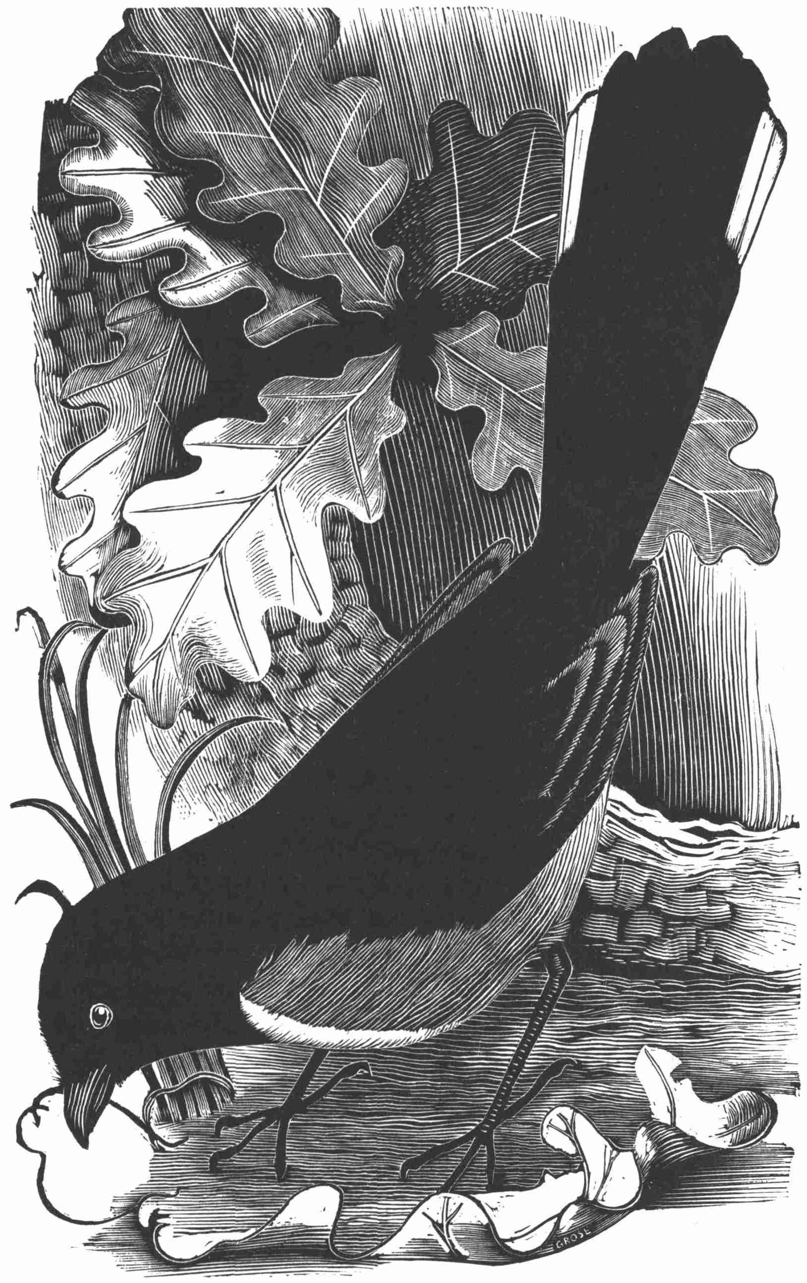 Wood Peewee