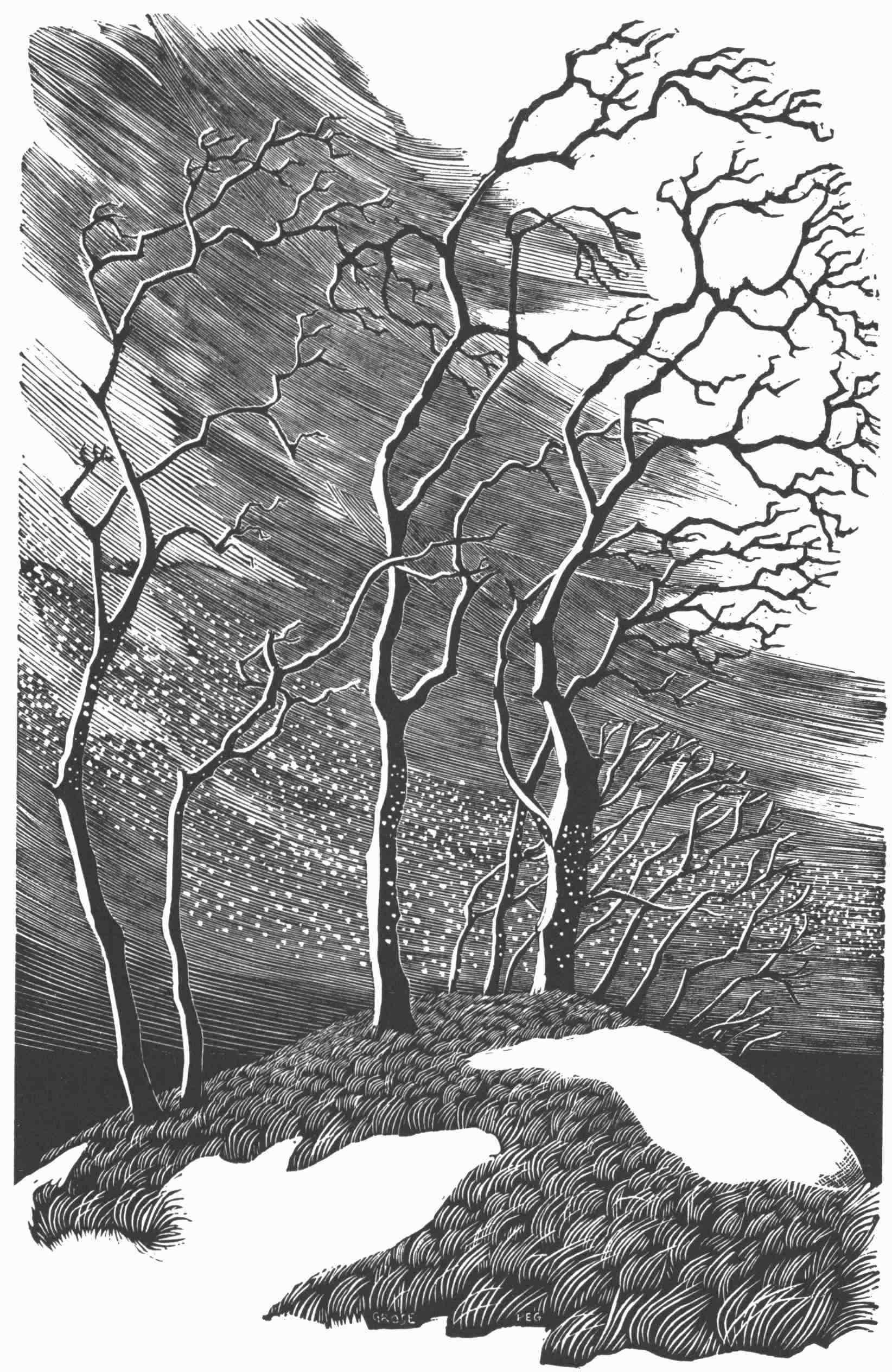 Snow in Bare trees