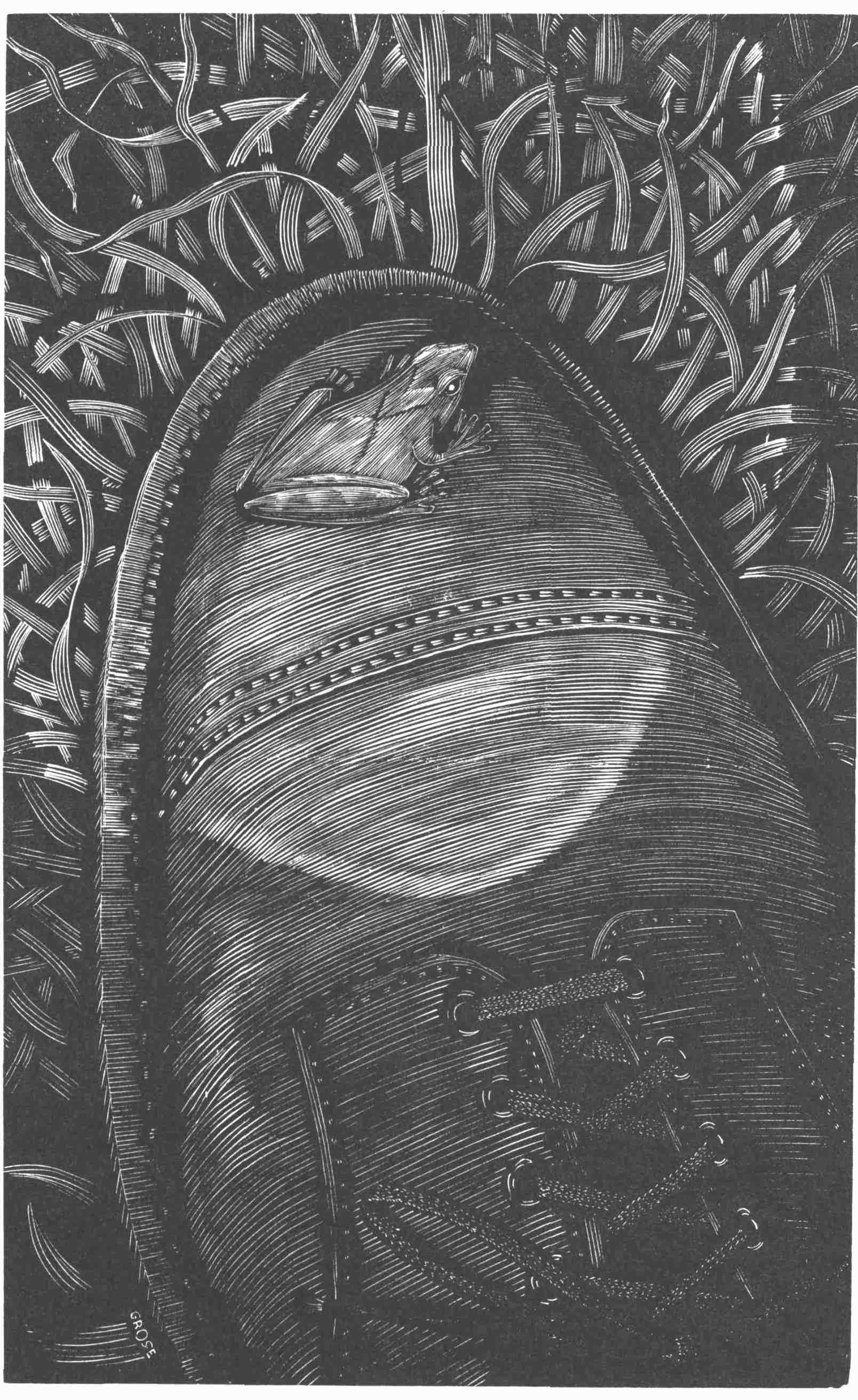 Peeper on Shoe
