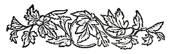 image005