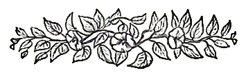 image006