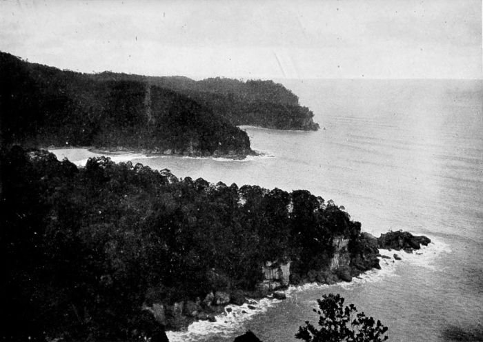 Datu Bay