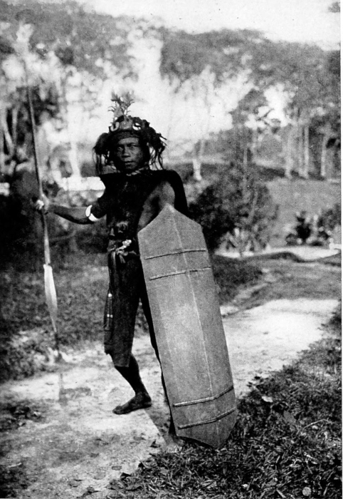 Dyak Chief