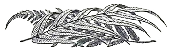 image010