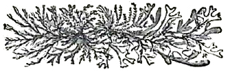 image014