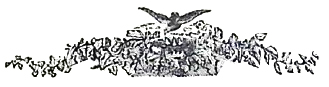 image015