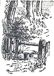 image017