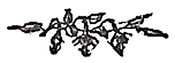 image010