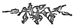 image017