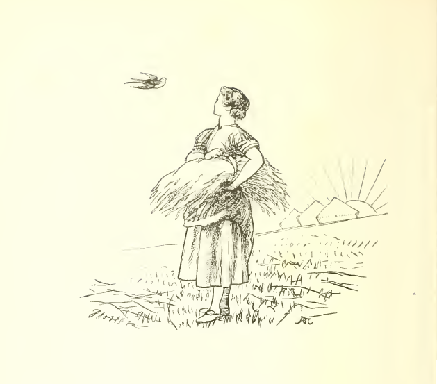 Fly away