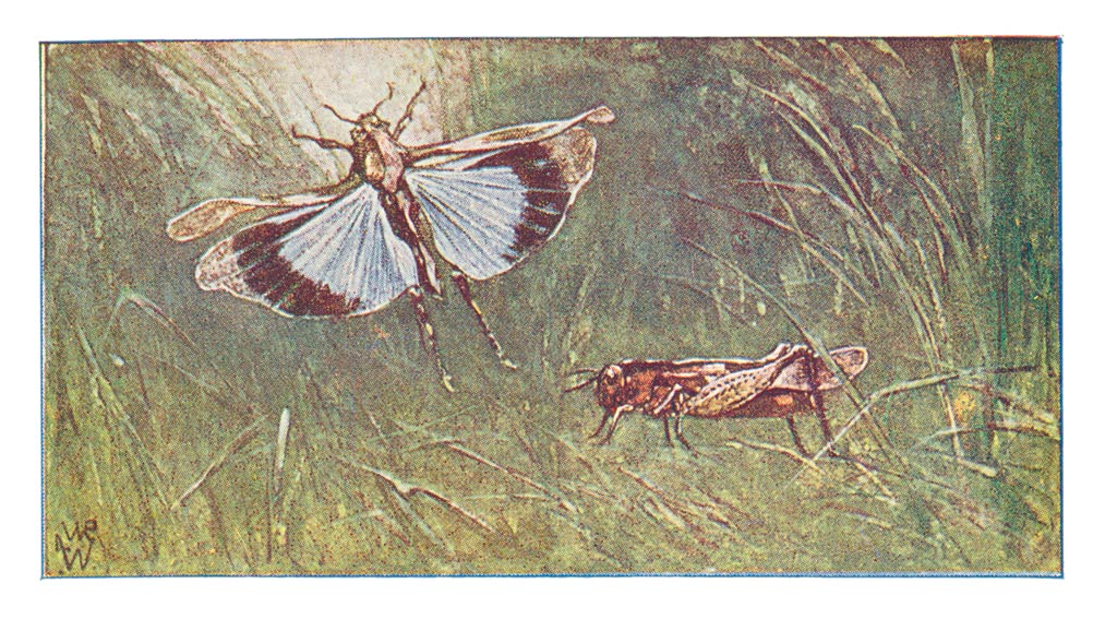 48