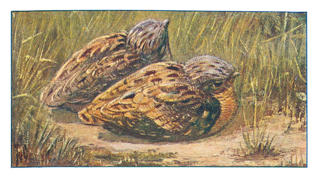 53
