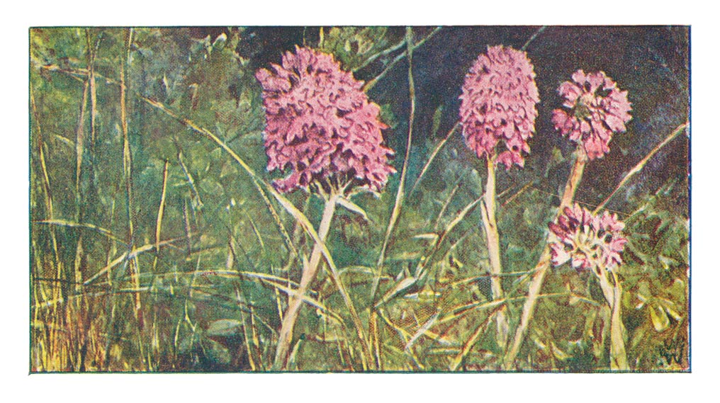 57