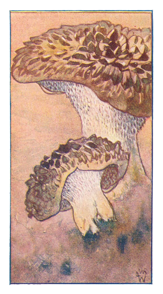 72