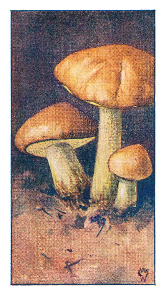 75