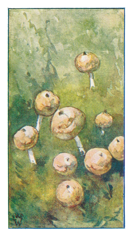 77