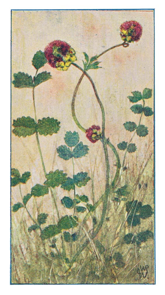 83
