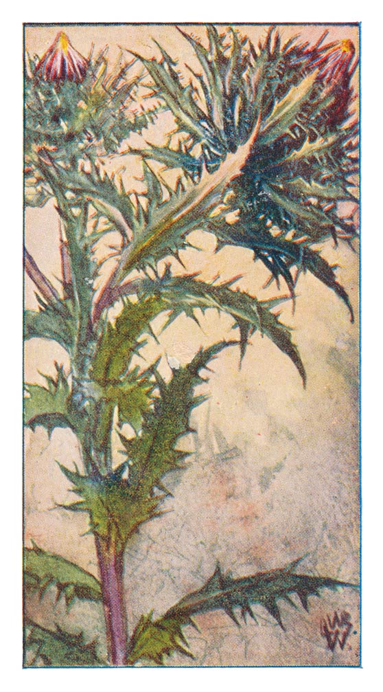 103