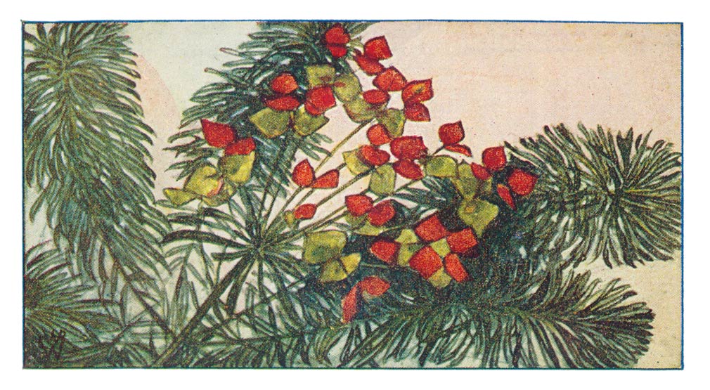 113