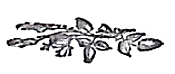 image013