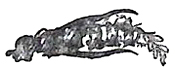image021